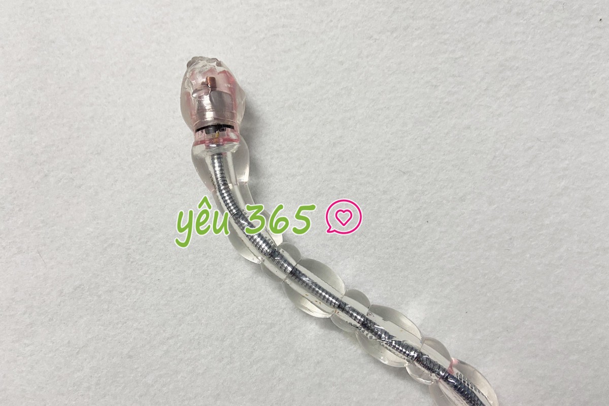 Kích hậu môn Distortion rung đa tần số 2