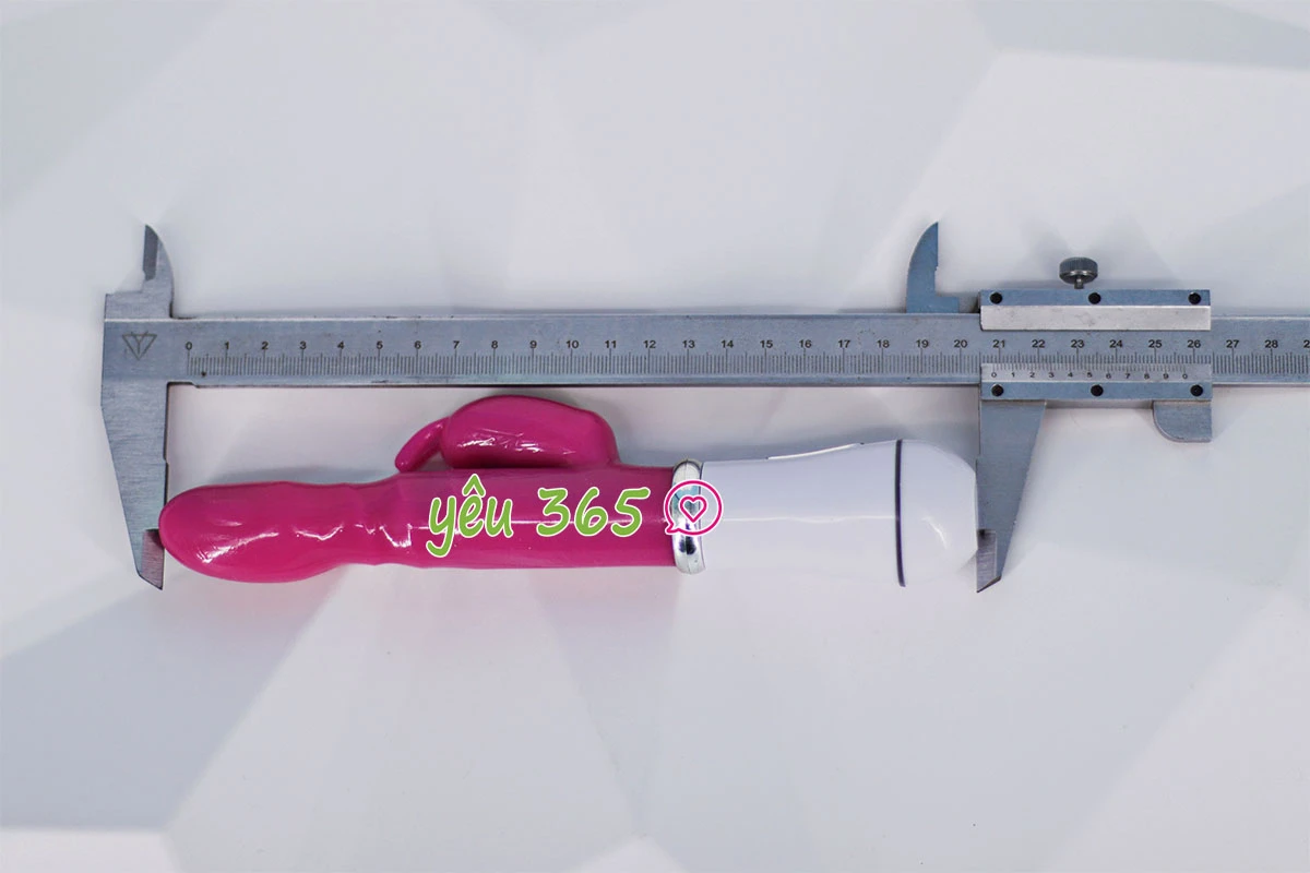Dương vật giả Vibrator có nhánh pin sạc