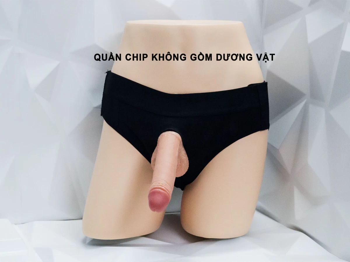 Quần chip gắn cu hạng premium đơn chắc chắn (không gồm cu giả) mini